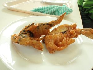 大いなる海 ~ アクアマリンふくしまにて _a0096989_21374642.jpg