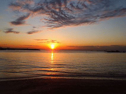 b0245289_232823.gif