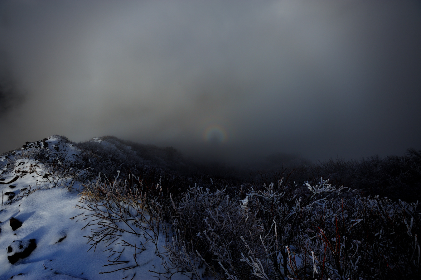c0138991_2114414.jpg