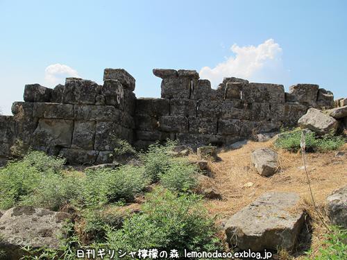c0010496_950759.jpg