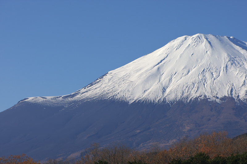 2011 ニスモフェスティバル　イベント_c0145198_19111828.jpg