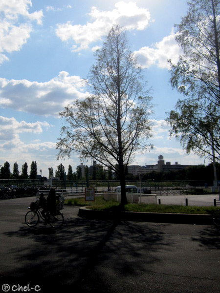a0154706_17222428.jpg