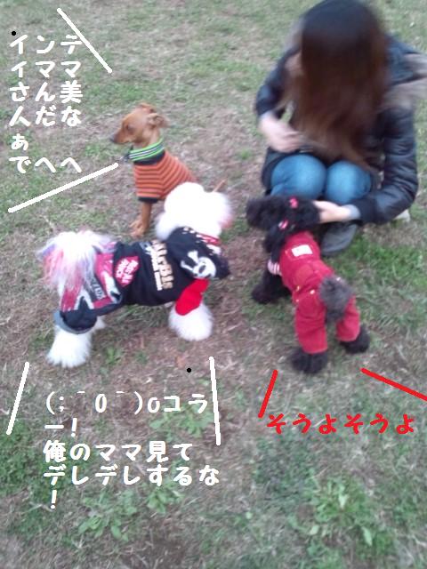 e0246708_2165536.jpg