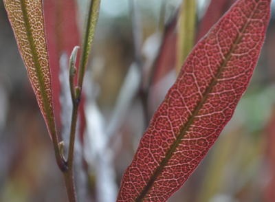 c0178009_170182.jpg