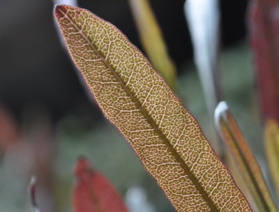 c0178009_1703237.jpg