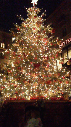 e0110210_834697.jpg