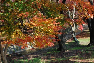 f0233011_552176.jpg