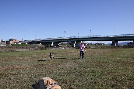 f0191413_17184267.jpg