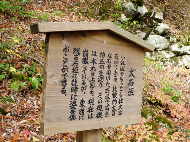 みのハイキングクラブ　５００回　山行記念登山　小谷山 494.5M 　　ＮＯ３　　　　_d0170615_1004490.jpg