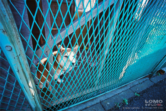 lomography #09_e0117517_23273039.jpg