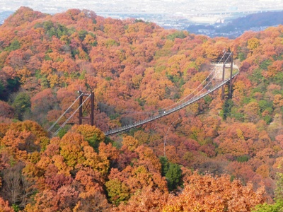 星のブランコの紅葉 Hirosanの青春