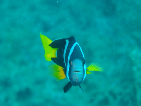 a0104720_2341128.jpg