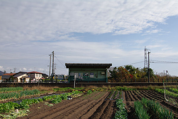 f0007926_13275037.jpg
