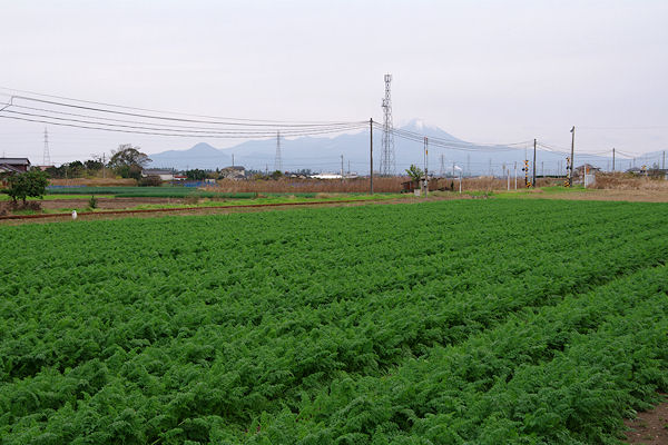 f0007926_13455226.jpg
