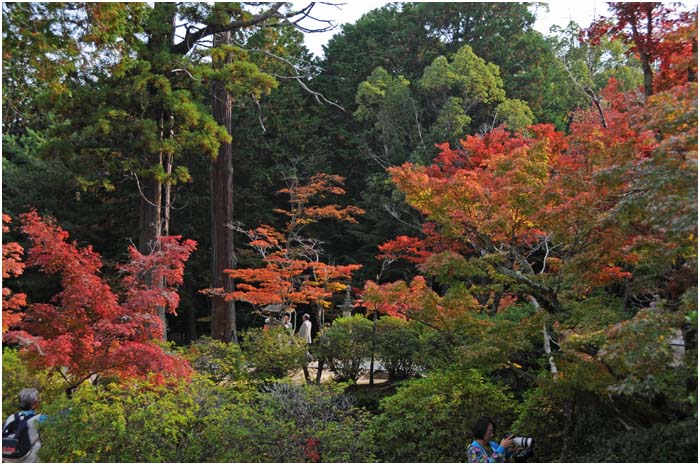 宝福寺_d0029829_426512.jpg