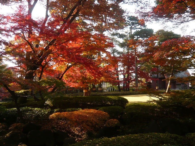 「大田黒公園」の紅葉。_c0169330_13401023.jpg