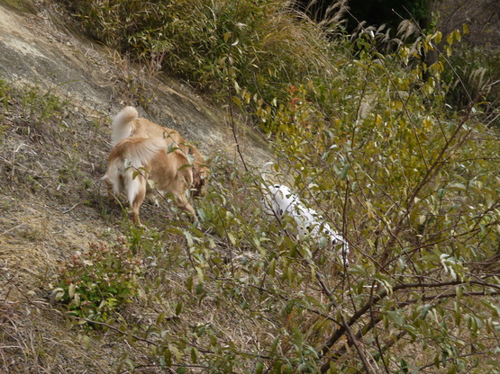 b0127531_16494934.jpg