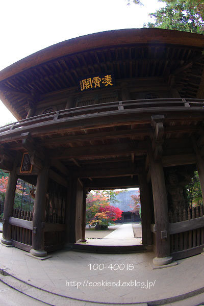 《花》　紅葉（4）　10-17mm魚眼　（平林寺）_c0080036_2342249.jpg