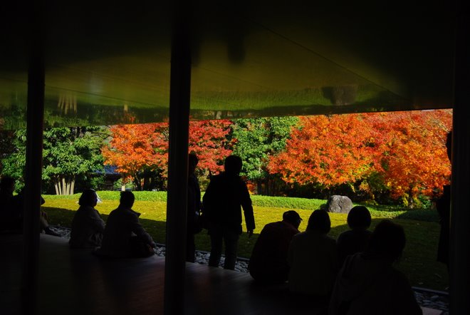 再び京都へ　宇治　平等院_e0171336_1301181.jpg