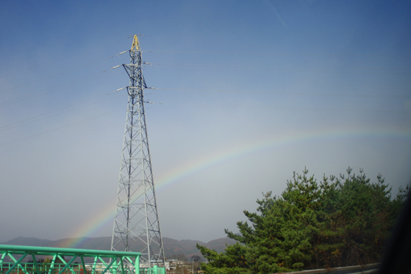 c0090139_724326.jpg