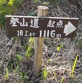 e0164643_1752417.jpg