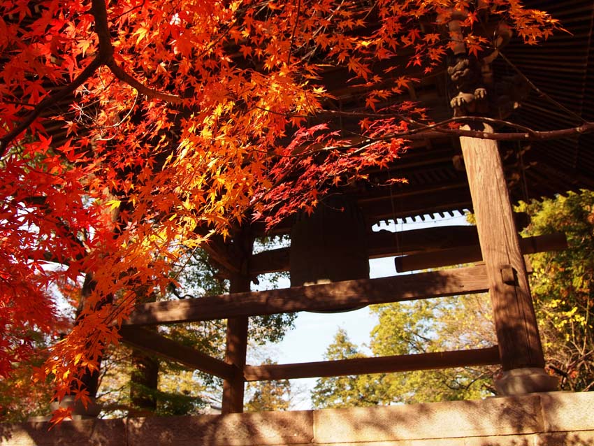 東漸寺の紅葉-Ⅰ　　　　　　　　　　　　　　千葉県・松戸市_d0149245_20202028.jpg