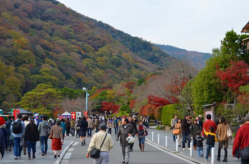 嵐山の紅葉2011_e0237645_2017323.jpg