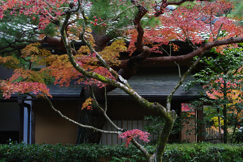 紅葉　～高桐院～_f0152550_21261877.jpg