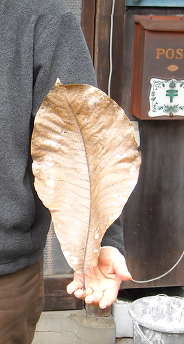 a0021554_1344328.png
