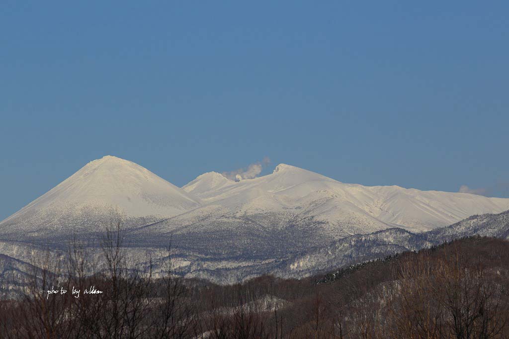 得意のサロマあんど雪のDD51より～_a0039860_193073.jpg