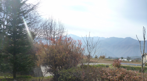 a0053063_214187.jpg