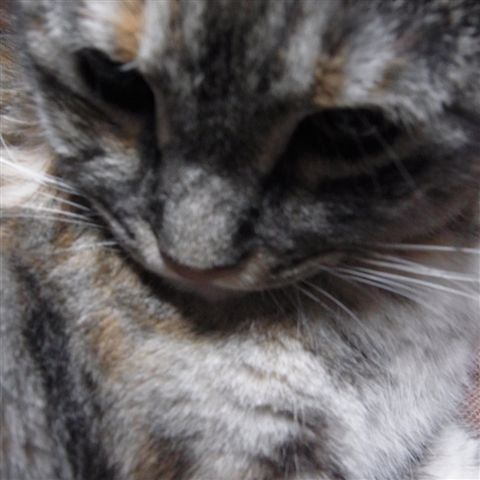 a0123465_23404428.jpg