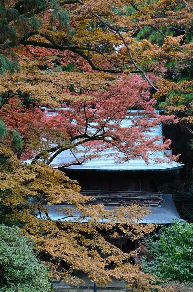 清水山　紅葉2_b0170969_21252722.jpg