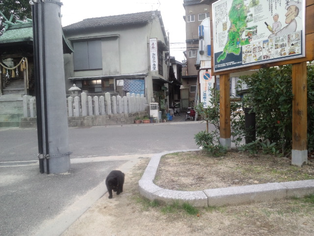 似島の「みなとや食堂」で中華そば食べて路地裏。_a0160571_21185877.jpg