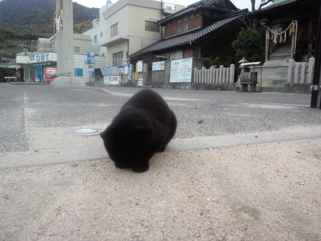 似島の「みなとや食堂」で中華そば食べて路地裏。_a0160571_21192137.jpg