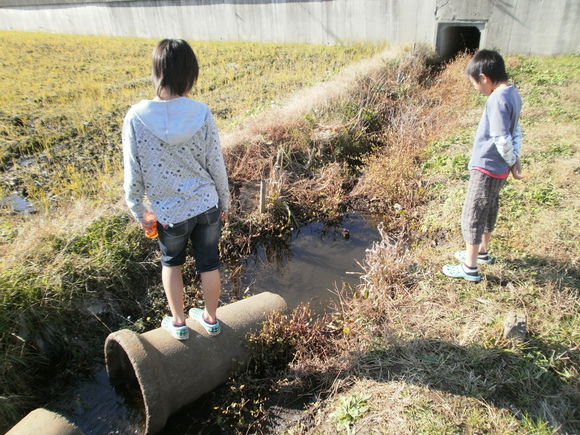 車検「12月5日（月）」_b0155973_2202556.jpg