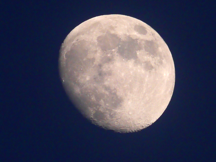 c0054876_1659062.jpg