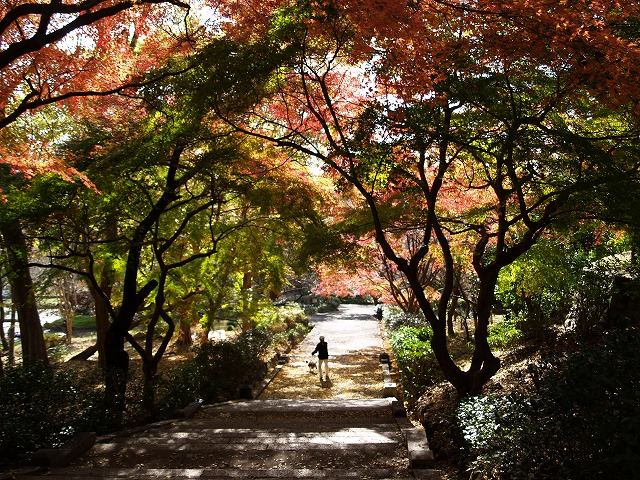 『梅林公園の紅葉風景』_d0054276_20142263.jpg