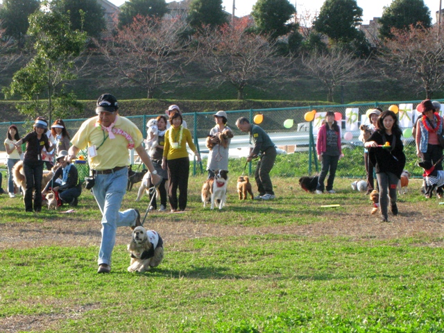 わんわん大運動会レポ（５）＜ピヨコちゃんリレー（２）＞_f0230380_1814442.jpg