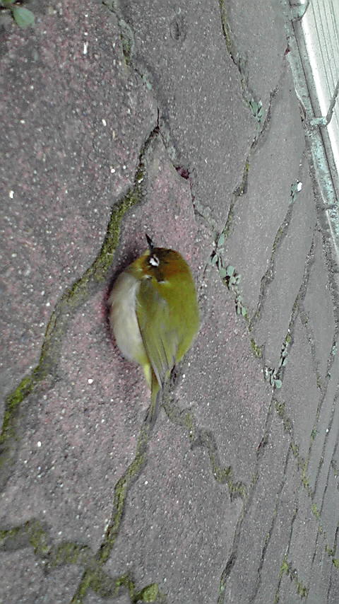 c0175182_13151595.jpg