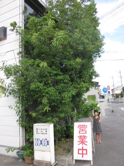 c0118387_14224060.jpg