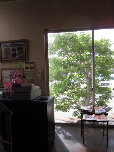 c0118387_1424118.jpg