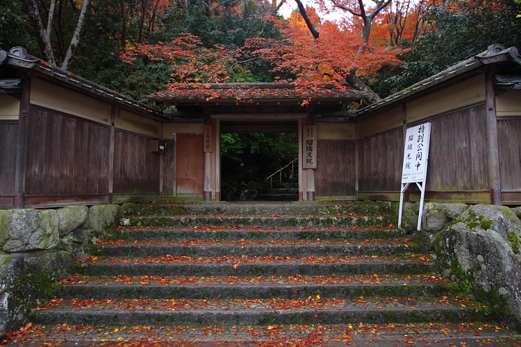 瑠璃光院_e0051888_4263589.jpg