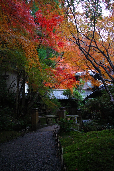 瑠璃光院_e0051888_4272214.jpg