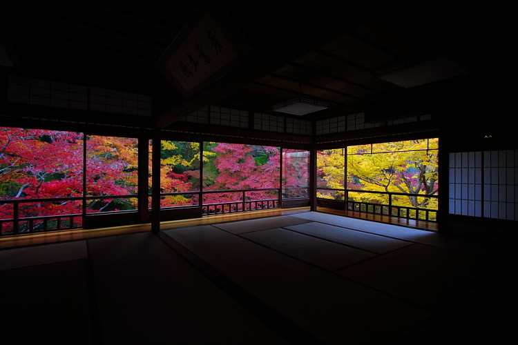 瑠璃光院_e0051888_427372.jpg