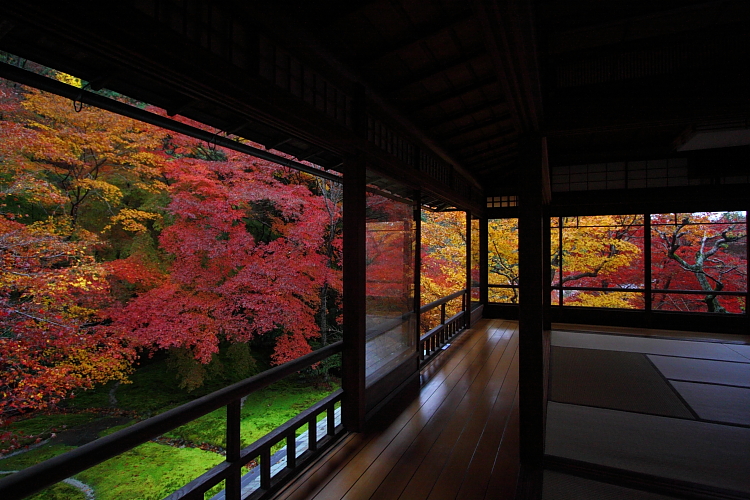 瑠璃光院_e0051888_4282792.jpg