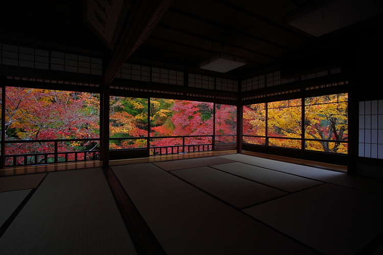 瑠璃光院_e0051888_428822.jpg
