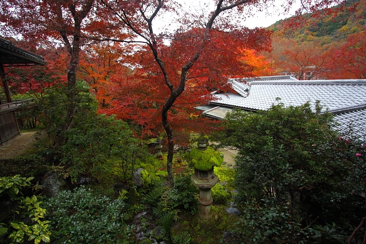 瑠璃光院_e0051888_4292827.jpg