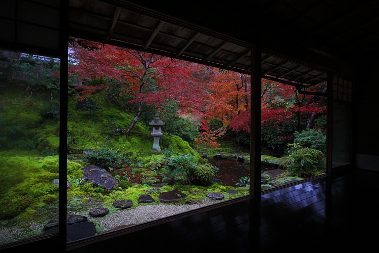 瑠璃光院_e0051888_429442.jpg