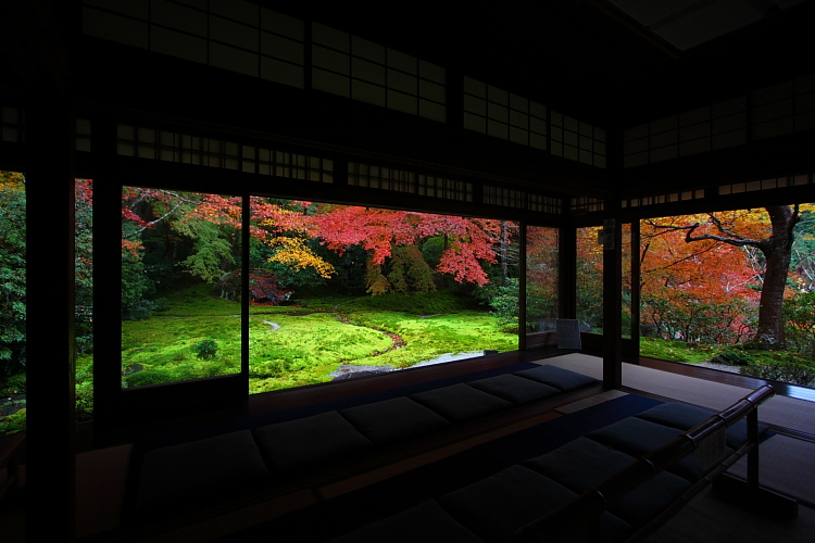 瑠璃光院_e0051888_429924.jpg